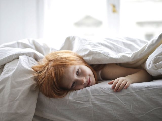Dodo ou Linvosges : quelle couette choisir ?