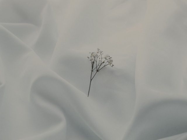 Draps coton peigné ou coton biologique : lequel choisir ?