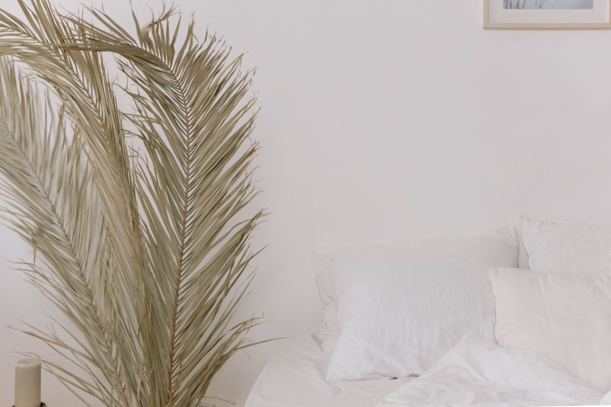 Comparatif tissus pour linge de lit : lin, coton et chanvre
