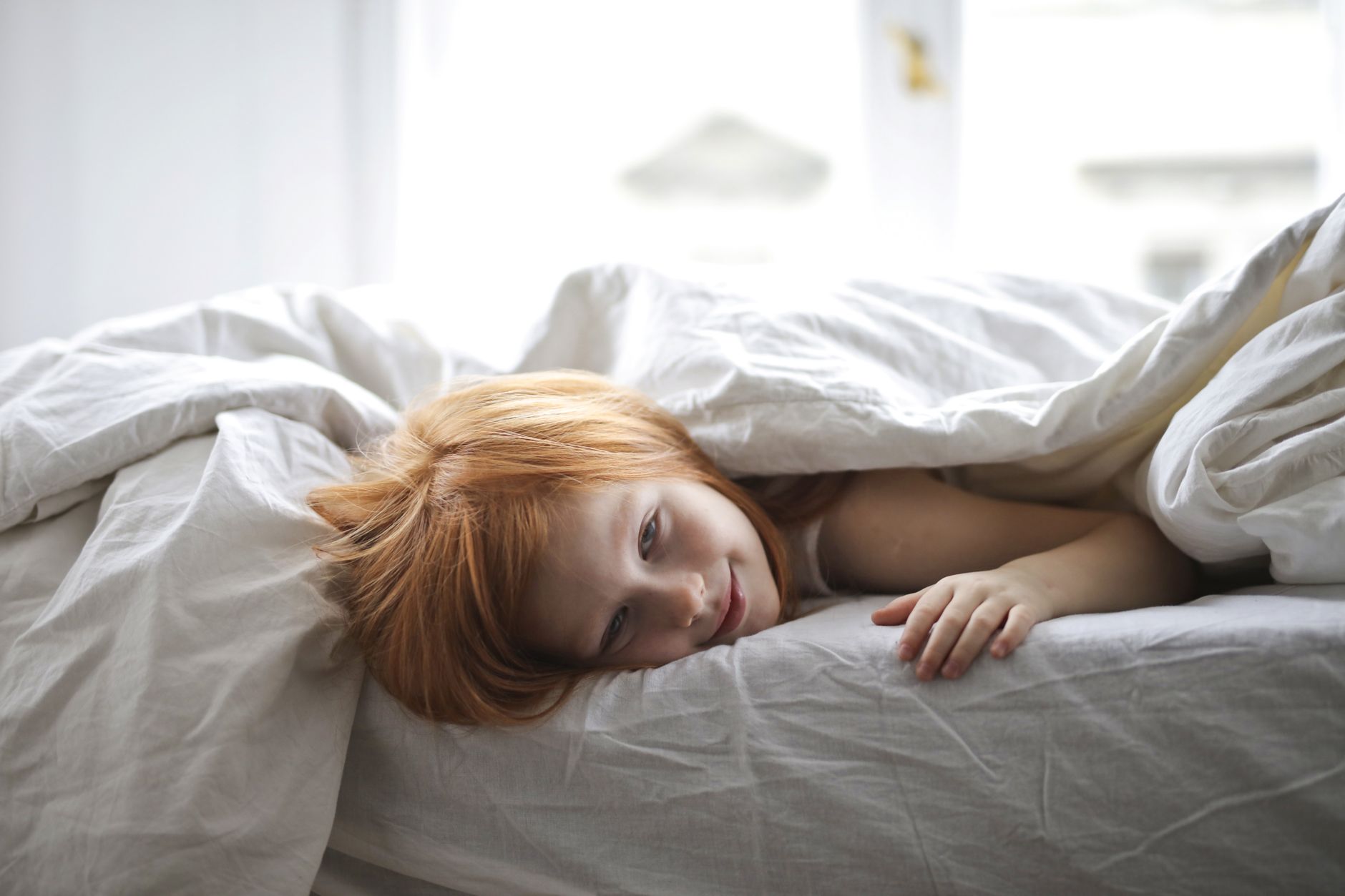 Dodo ou Linvosges : quelle couette choisir ?